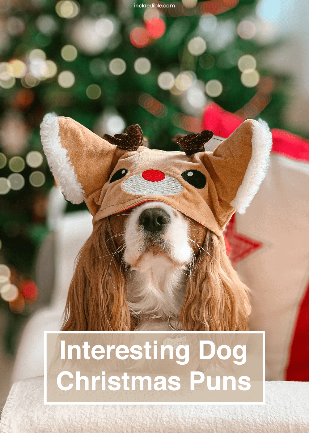dog-christmas-puns