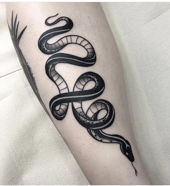 30 Two Headed Snake Tattoo Ideas For Men  Serpent Designs